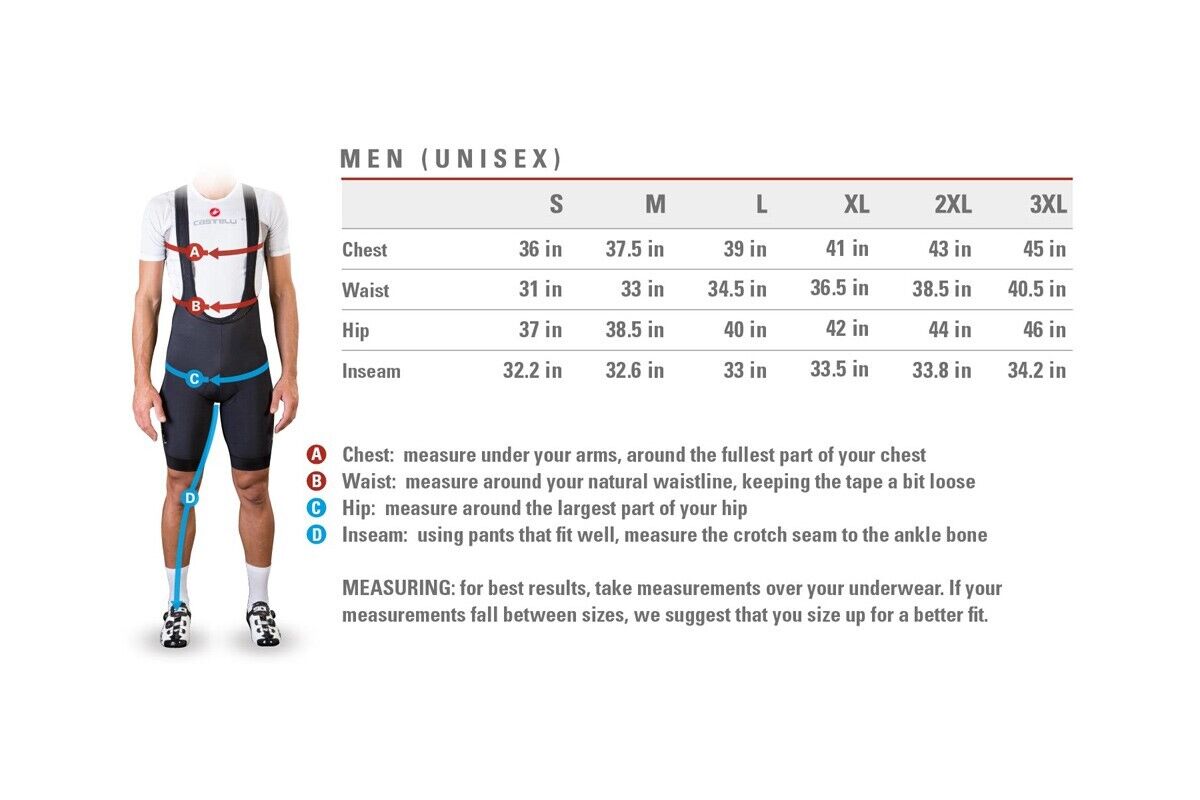 PASSISTA Long Sleeve Jersey : BORDEAUX/SAVILE BLUE