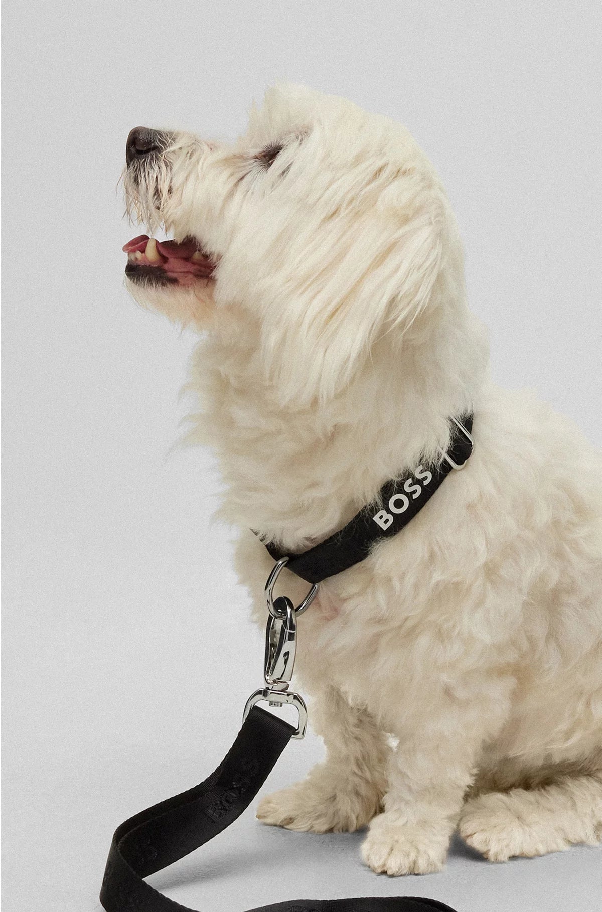 DOG COLLAR WITH JACQUARD LOGO DETAILING
